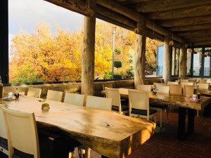 25289570_1592813050779645_2836585603581277517_n